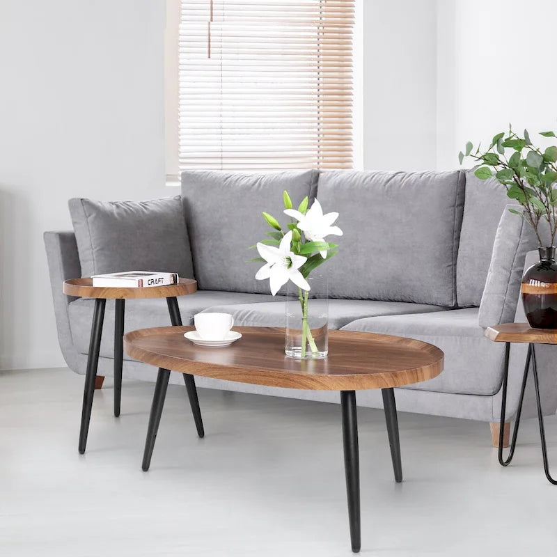 Tables d'appoint de café modernes marron rondes et irrégulières, lot de 2